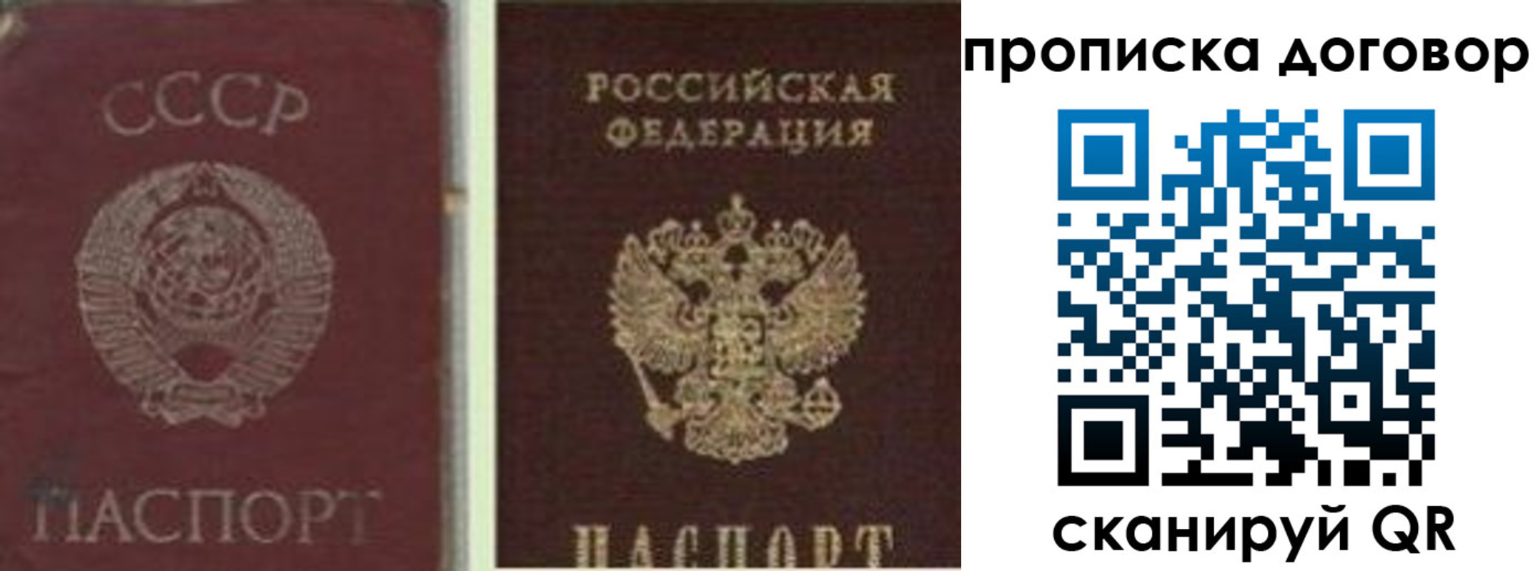 прописка гарантия в Белогорске